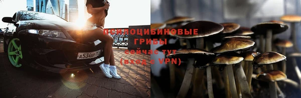 mdpv Каменск-Шахтинский