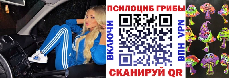 Псилоцибиновые грибы Psilocybe  Купить закладки  Хасавюрт 